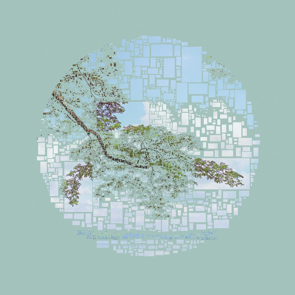 Mandai Reservoir, from the series Mirror World