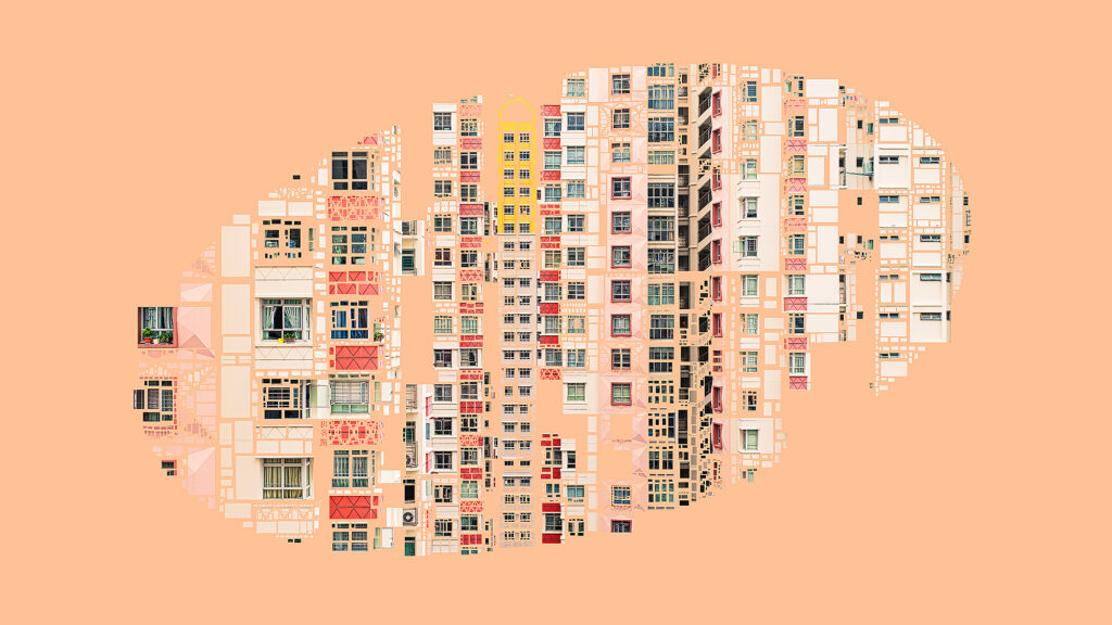 View from a Friend, from the series Mirror World