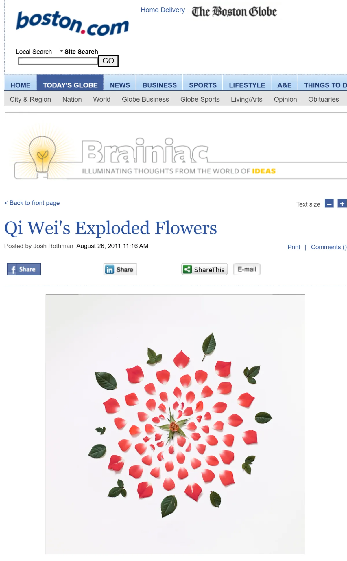 Boston Globe Brainiac post “Qi Wei’s Exploded Flowers”, August 2011, showing an exploded rose